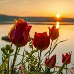 Татьяна Кудрина
