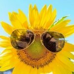 Евгения Кротова