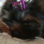 Ольга Евстратова