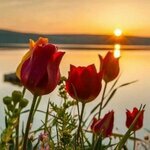 Татьяна Кудрина