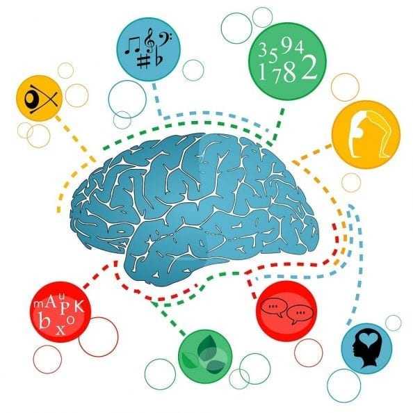 Когнитивные ресурсы мозга