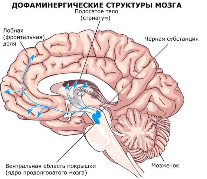 История болезни Паркинсона, как появился такой диагноз.