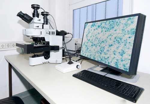 Микроскопический анализ образца биопсии