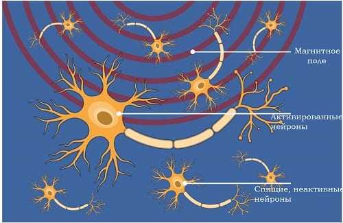 Магнитное плое активирует нейроны