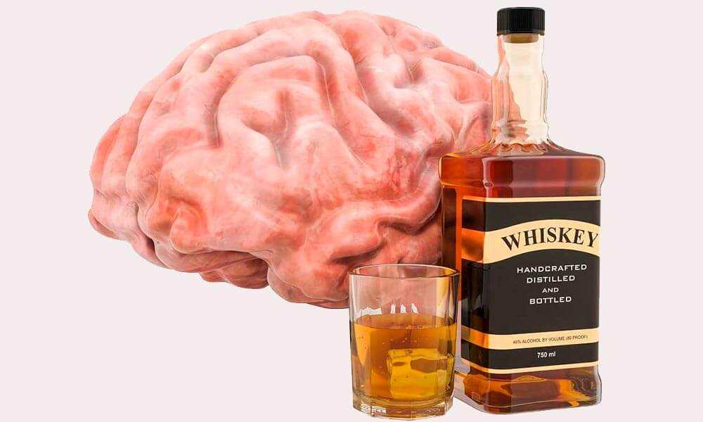 Алкоголь виски вызывает энцефалопатию