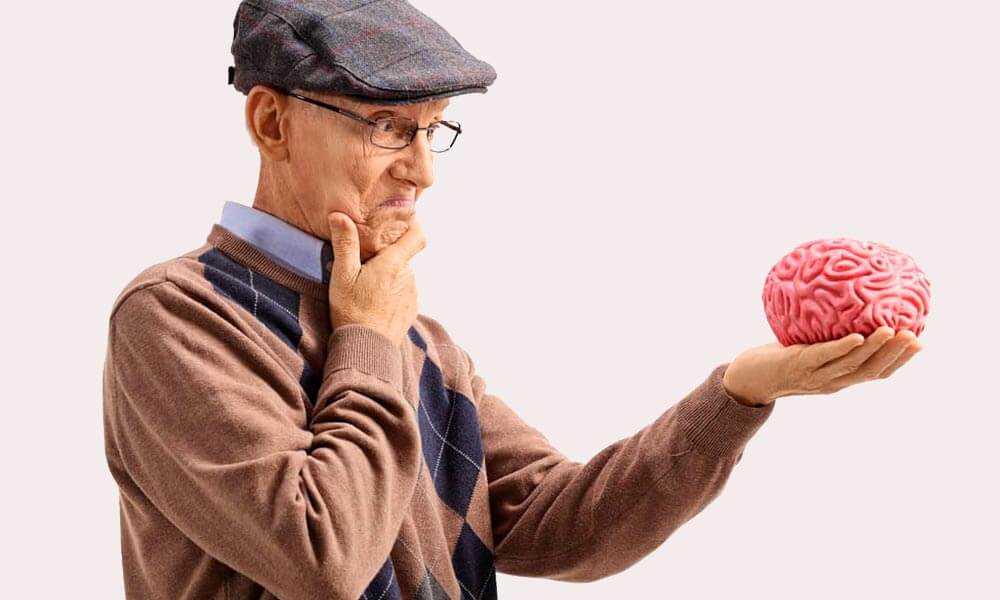 Пожилой человек изучает строение мозга