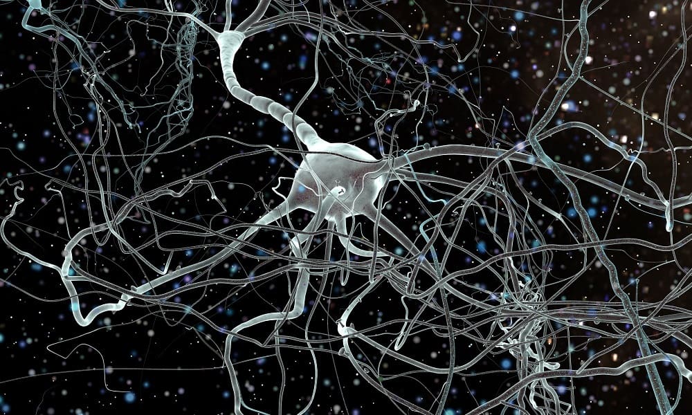 Нейроны мозга связаны синапсами