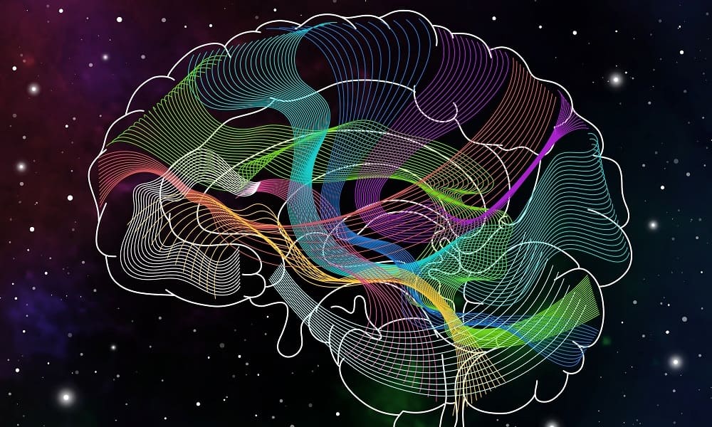 Схема нейронных связей в мозгу