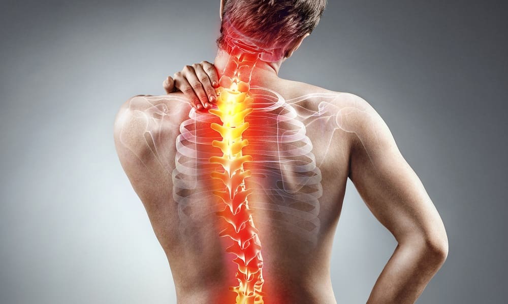Почему болят мышцы спины