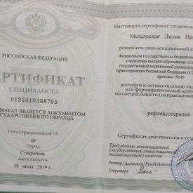Сертификат Метельской Л. Н.