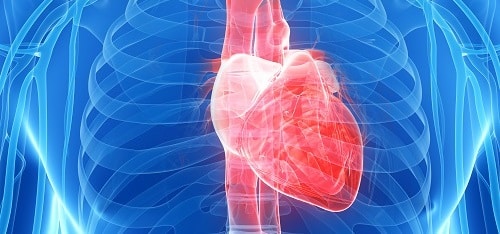 Как понять болит сердце или проблемы с нервами?
