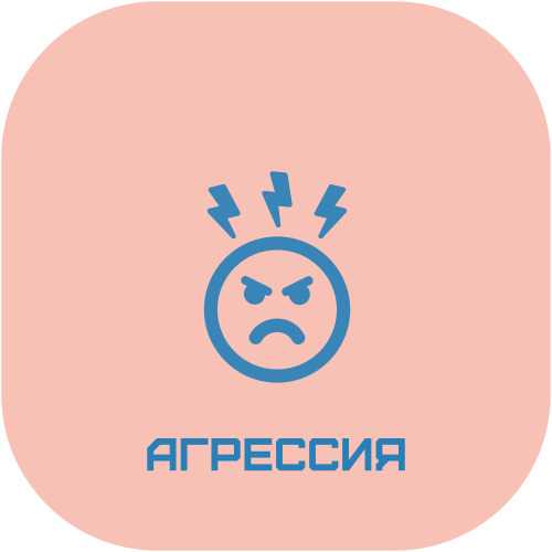 Агрессия