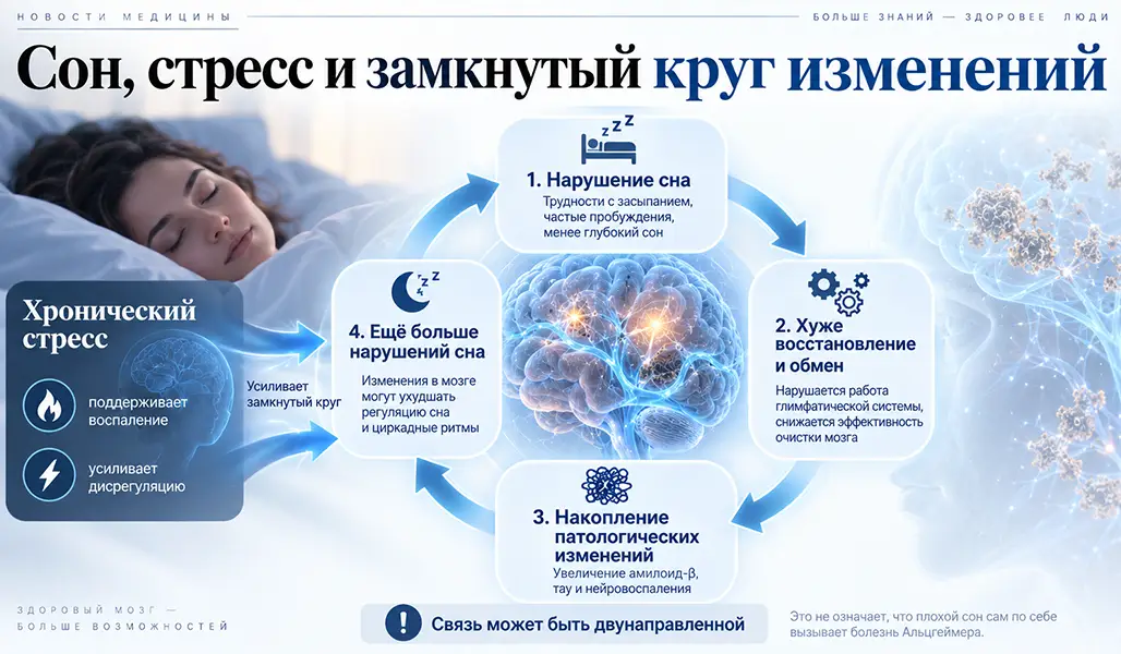 Как хронический стресс связан с нарушениями сна и болезнью Альцгеймера